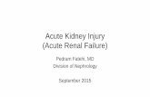 Acute Kidney Injury (Acute Renal Failure)