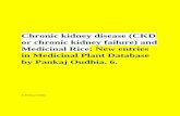 Chronic kidney disease (CKD or chronic kidney failure) and ...