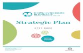 DSL Strategic Plan 2020-2022