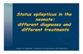 Status epilepticus in the neonate: different diagnoses and ...