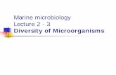 Marine microbiology Lecture 2 - 3