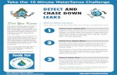 DETECT AND CHASE DOWN LEAKS