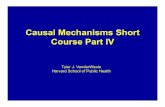 Causal Mechanisms Short Course Part IV