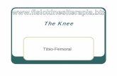 Knee [modalità compatibilità]