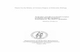 Thesis for the Master of Science Degree in Molecular Biology