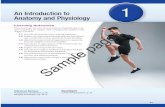 Essentials of Anatomy & Physiology, Global Edition, 8th ...