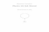 Physics 101 Lab Manual - cosmology.princeton.edu