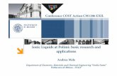 Ionic Liquids at Polimi: basic research and applications