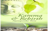 Kamma & Rebirth - bps.lk