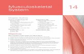Musculoskeletal 14 System - Lippincott Williams & Wilkins