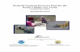 Draft Recovery Plan for the Kemp’s Ridley Sea Turtle