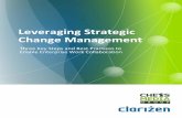 Leveraging Strategic Change Management - Clarizen
