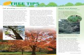 TREE TIPS - bartlett.com