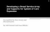 Developing a Broad Service Array and Supports for System ...