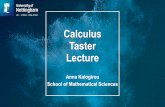 Calculus Taster Lecture - online.nottingham.ac.uk