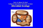 Microbial Ecology 微生物生态学