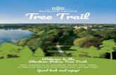 Welcome to the Blenheim Palace Tree Trail.