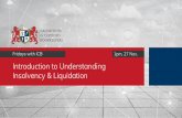 Introduction to Understanding Insolvency & Liquidation