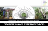 DISCRETE CHOICE EXPERIMENT (DCE)