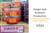 Ginger and Turmeric Production - vsuag.net