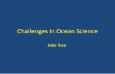 Challenges in Ocean Science