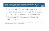 Recent Construction Risk Issues and Cases and Common Sense ...