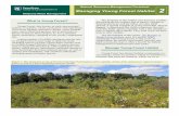Managing Young Forest Habitat - Plone site