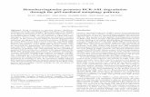 Homoharringtonine promotes BCR‑ABL degradation through the ...
