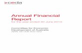 Annual Financial Report - Microsoft