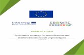 SB&WRC Project Qualitative strategy for massification and ...
