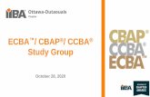 ECBA / CBAP / CCBA Study Group