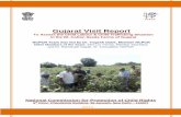 Gujarat Visit Report - NCPCR