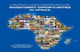 INVESTMENT OPPORTUNITIES IN AFRICA