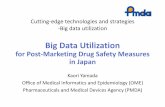 Post Marketing Drug Safety Measures in Japan