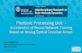 Photonic Processing Unit