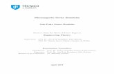 Micromagnetic Device Simulation - ULisboa