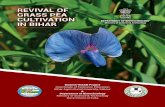 Cover Page: Front and Back -Grass pea at Flowering Stage