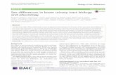 Sex differences in lower urinary tract biology and physiology