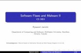 Software Flaws and Malware II - cas.mcmaster.ca
