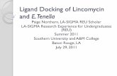 Ligand Docking of Lincomycin and E. Tenella