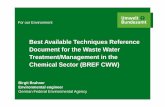 Best Available Techniques Reference Document for the Waste ...