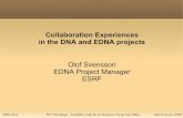 Collaboration Experiences in the DNA and EDNA projects