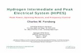 Hydrogen Intermediate and Peak Electrical System (HIPES)