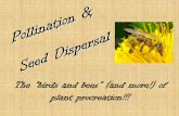 The “birds and bees” (and more!) of plant procreation!!!