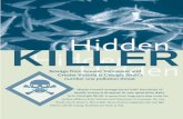Hidden KILLER Hidden