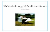 Wedding Collection - Violinista
