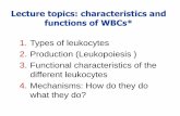 Lecture topics: characteristics and functions of WBCs*