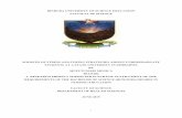 BINDURA UNIVERSITY OF SCIENCE EDUCATION FACUILTY OF …