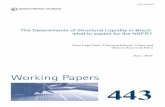 The Determinants of Structural Liquidity in Brazil: what ...