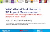 WHO Global Task Force on TB Impact Measurement